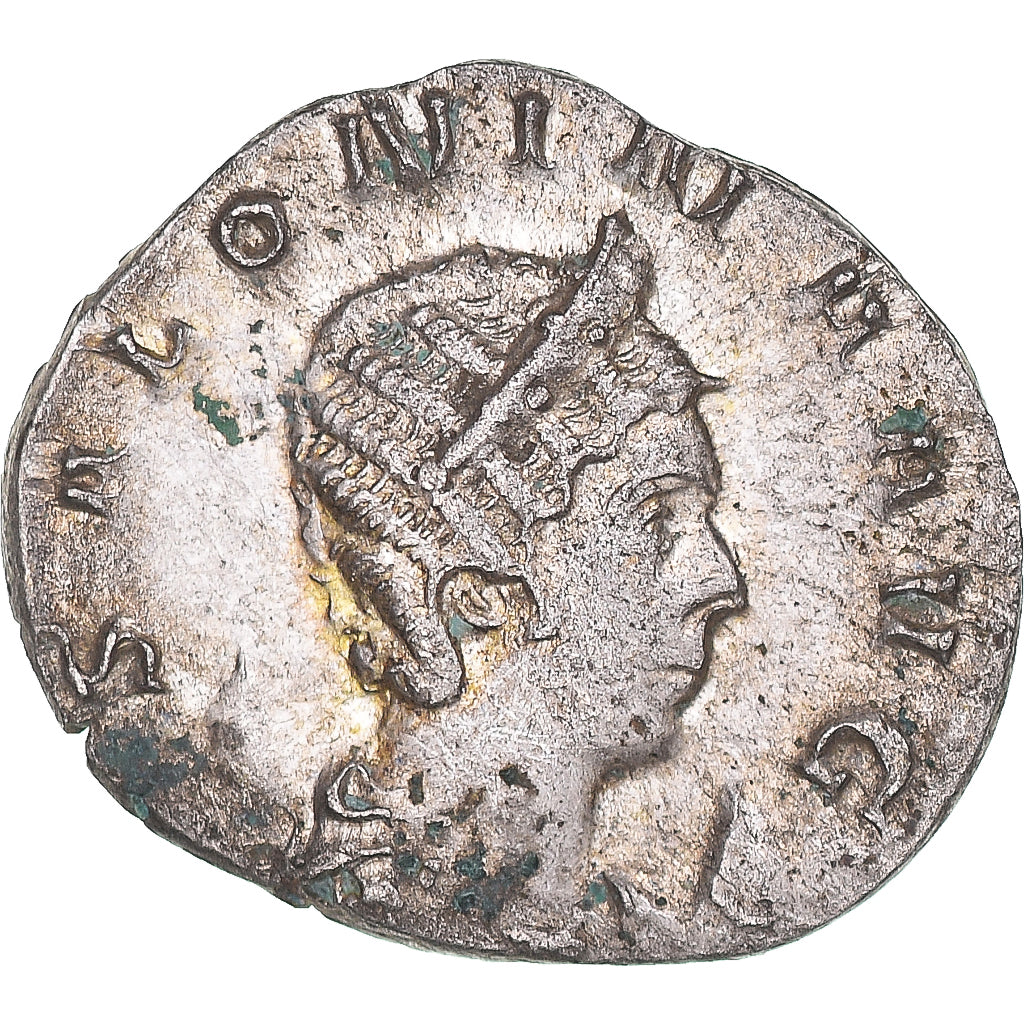 Moneta,
Saloninie,
Antoninian