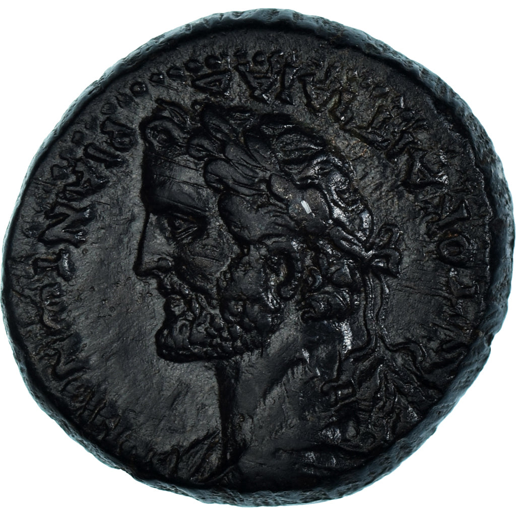 Moneta, 
  
  Seleukis i Pieria, 
  
  Antonin Pius