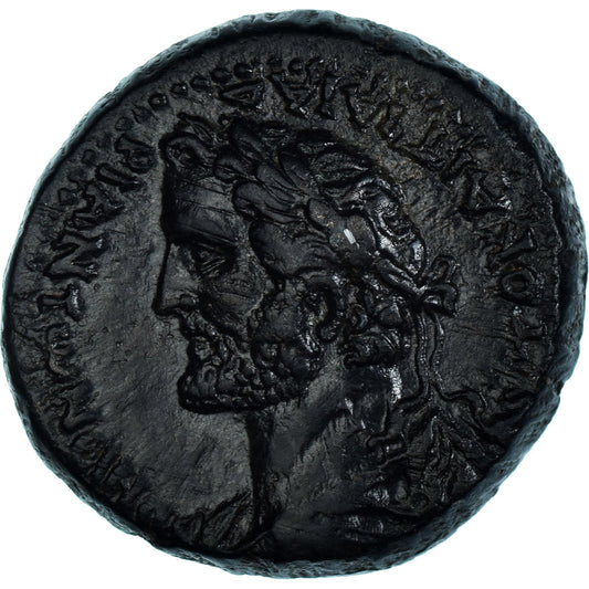 Moneta, 
  
  Seleukis i Pieria, 
  
  Antonin Pius