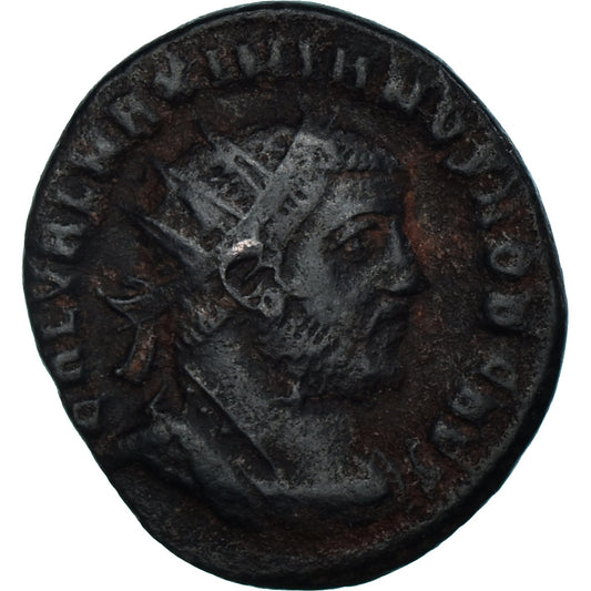 Moneta, 
  
  Maksymian Herkules, 
  
  Antoninian