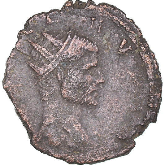Moneta, 
  
  Divus Klaudiusz II Gothicus, 
  
  Antoninian
