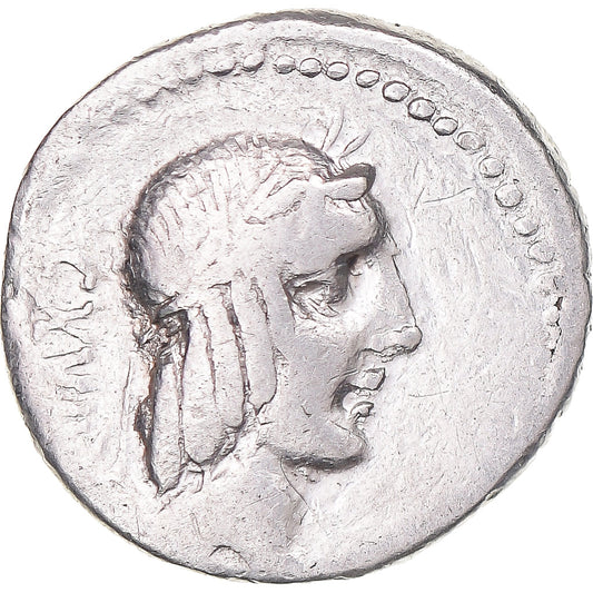 Moneta, 
  
  Kalpurnia, 
  
  Denar