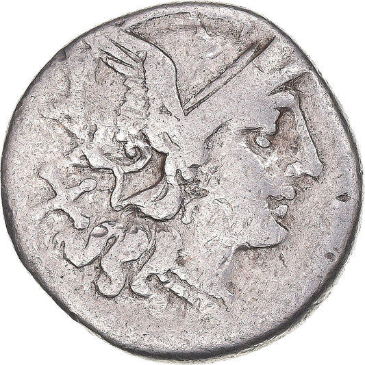 Moneta, 
  
  Skrybonia, 
  
  Denar