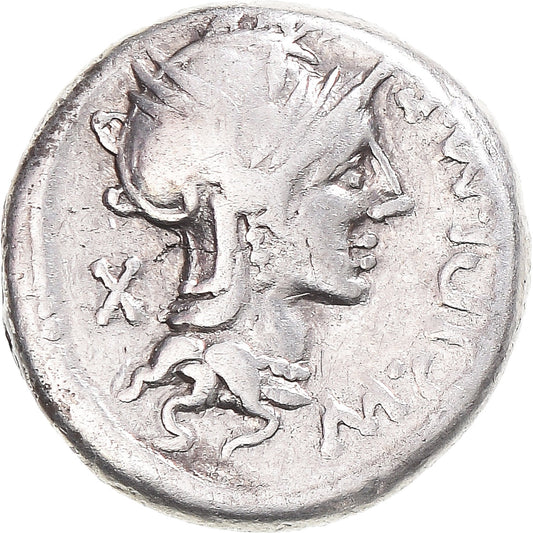 Moneta, 
  
  Cipia, 
  
  Denar