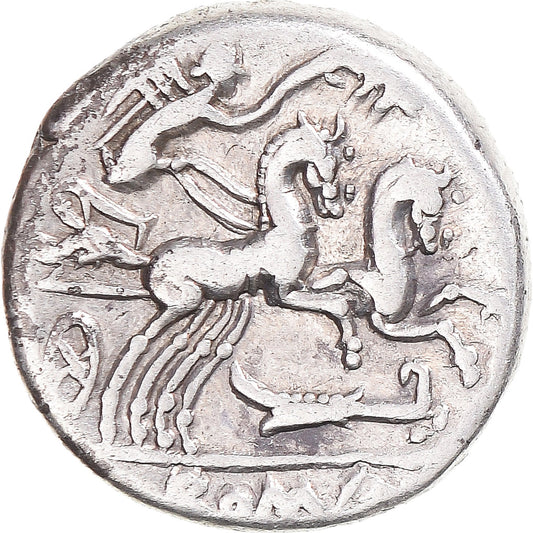 Moneta, 
  
  Cipia, 
  
  Denar