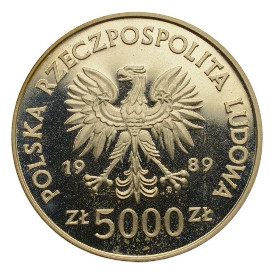 5000 złotych - Ratujemy zabytki Torunia